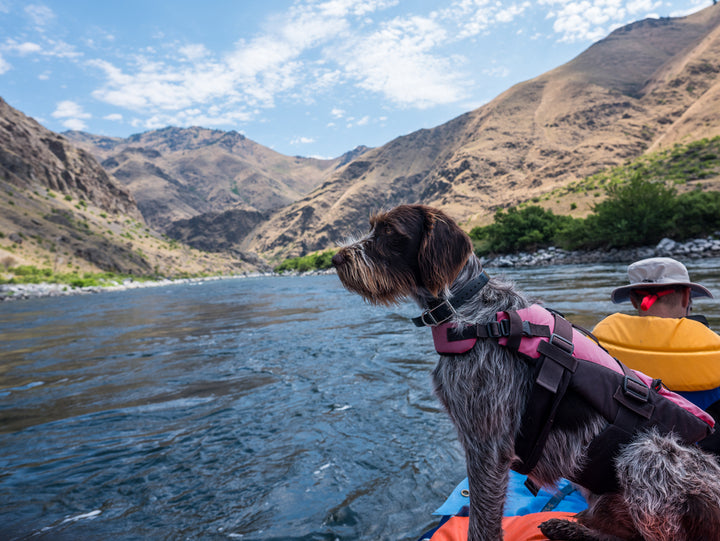 Guided Snake River Rafting through Hells Canyon